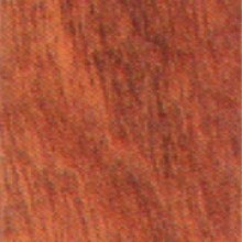 Amendoim