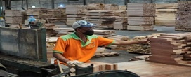 Relat�rio da GTI: Indon�sia e Gana registram leve crescimento em junho, enquanto outros mercados madeireiros apresentam desacelera��o.