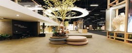 Padr�es em MDF da Placas do Brasil ampliam possibilidades na arquitetura, decora��o e design