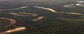 MT recebe R$ 36 milhões e terá mais R$ 54 milhões por não exceder limite de área desmatada