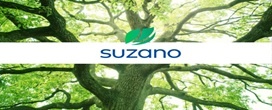 Suzano abre 45 vagas de trainee para Operador(a) de M�quina Florestal em Tr�s Lagoas (MS)