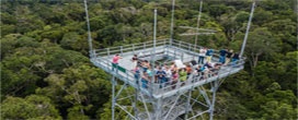 Startup seleciona jovens para uma semana de imersão na Amazônia