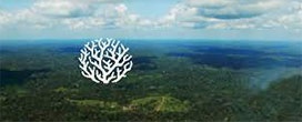 Por uma nova visão de desenvolvimento para a Amazônia