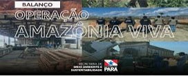 Resultados da operação de inspeção ‘Amazônia Viva’