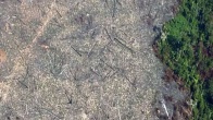 Áreas alvo de grilagem somam 35 por cento do desmate na Amazônia entre agosto de 2018 e julho de 2019