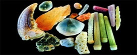 Cientista tira fotos de grãos de areia e o resultado é fascinante