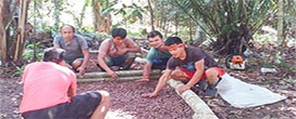 Projeto do povo Ashaninka coleta mais de 550 kg de sementes para reflorestar cerca de 57 ha no AC