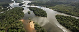 INPE produz mapa sobre quantidade de biomassa na Amazônia