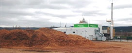 Biomassa firme candidato para substituir a energia nuclear na Espanha