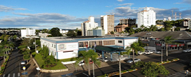 Caçador é oficializada como Capital da Madeira em Santa Catarina
