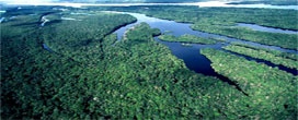 Estudo aponta quem é o “dono” do carbono no Brasil