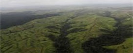 Estudo revela aumento nos impactos de carbono devido a perdas de florestas tropicais intactas entre 2000 e 2013