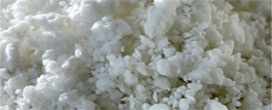 Produtos Florestais 2º lugar nas exportações do agronegócio paulista