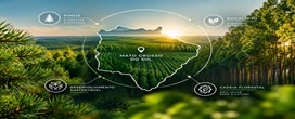Celulose se consolida como nova locomotiva da ind�stria do Mato Grosso do Sul