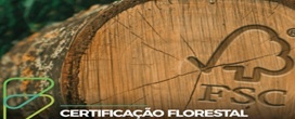 Da �rea gerida pelo setor de �rvores cultivadas 66 por cento � certificada.