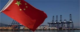 Desafios na produção e comercialização de madeira na China