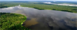 Colombia irá receber US$ 250 milhões para parar o desmatamento