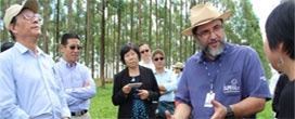 Comitiva chinesa visita Embrapa em São Carlos para conhecer opções de forrageiras tropicais
