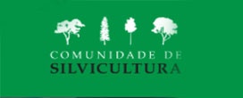 O sucesso da silvicultura est� na diferen�a entre olhar e enxergar