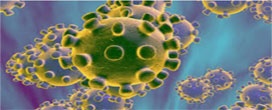 Exportações do Vietnã definidas para mergulhar devido ao coronavirus