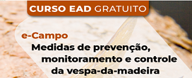 Vespa-da-madeira - avaliação de impacto e curso on-line