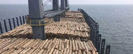 Exporta��es brasileiras de produtos � base de madeira (exceto celulose e papel) registraram queda de 7 por cento em valor