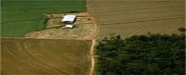 Em torno de 20% dos gases do efeito estufa são causadas pelo desmatamento