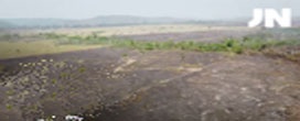 Justiça determina que órgãos do governo tomem ações imediatas contra o desmatamento na Amazônia