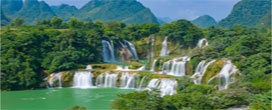 Os 5 países que concentram 70% dos ecossistemas intactos no mundo