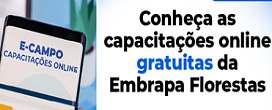 Conhea as capacitaes online gratuitas da Embrapa Florestas