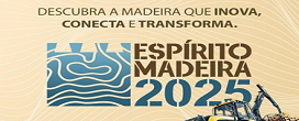 Arquitetura em madeira bate recordes mundiais e impulsiona futuro sustentável