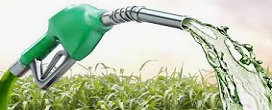 Copersucar e Inpasa lideram fornecimento de etanol em 2023