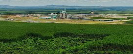 BNDES autoriza liberao de R$ 200 milhes para empresa plantar eucalipto na Bahia