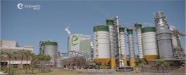 Obra para usina de energia com eucalipto é iniciada em Três Lagoas