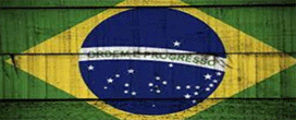 Exportaes brasileiras de produtos madeireiros (exceto celulose e papel) aumentaram 1,5 por cento em valor