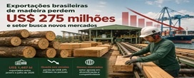 Exporta��es brasileiras de madeira perdem US$ 275 milh�es e setor busca novos mercados