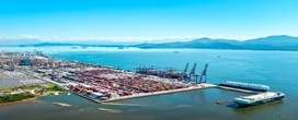 Exporta��o de madeira cresce 4 por cento via TCP e consolida Paranagu� como corredor estrat�gico do agroneg�cio