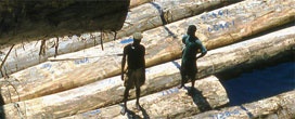 Desempenho de exportação ganenses de janeiro a outubro