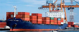 Celulose e carnes impulsionam as exportações de produtos industrializados em MS