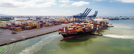 Exportaes brasileiras de produtos madeireiros (exceto celulose e papel) diminuram 18 por cento8 em valor