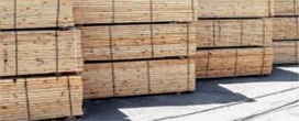 Exportação de produtos florestais alcança US$ 2,8 bilhões no 1º T. de 2019