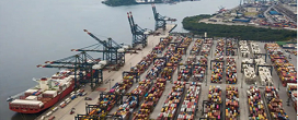 Exportaes de celulose do Brasil mantm competitividade diante de incertezas globais