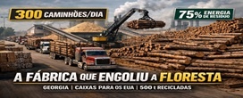 Com 300 caminh�es de �rvores por dia, 500 toneladas de papel�o reciclado e 75 por cento da energia gerada queimando res�duos