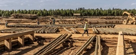 Relat�rio da FAO e da Bauhaus Earth quantifica como o aumento do uso de produtos de madeira na constru��o civil poderia impulsionar a demanda anual em 50 milh�es de m�