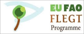 A importância da madeira legal: programa FLEGT FAO trabalha por isso