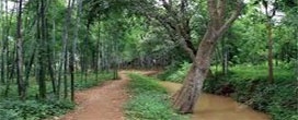 Centro de treinamento florestal regional para Mianmar