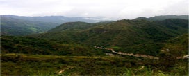 Crescem as exportações peruanas de produtos de madeira