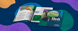 Ibá divulga Relatório Anual com recordes de produção, exportações e conservação florestal