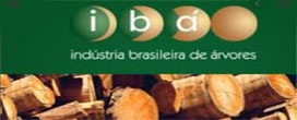 Setor florestal atinge US$ 7,8 bilhões em exportações