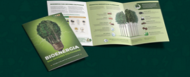 Bioenergia das rvores cultivadas j corresponde a 12 por cento da matriz energtica nacional